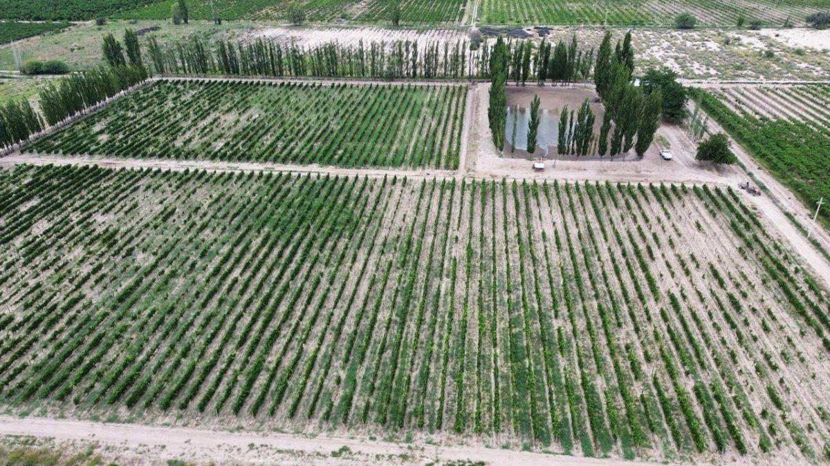 Foto de VENDE FINCA DE 45 HA – REPRESA Y POZOS -SAN MARTÍN, imagen 4