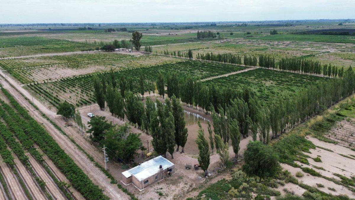 Foto de VENDE FINCA DE 45 HA – REPRESA Y POZOS -SAN MARTÍN, imagen 1