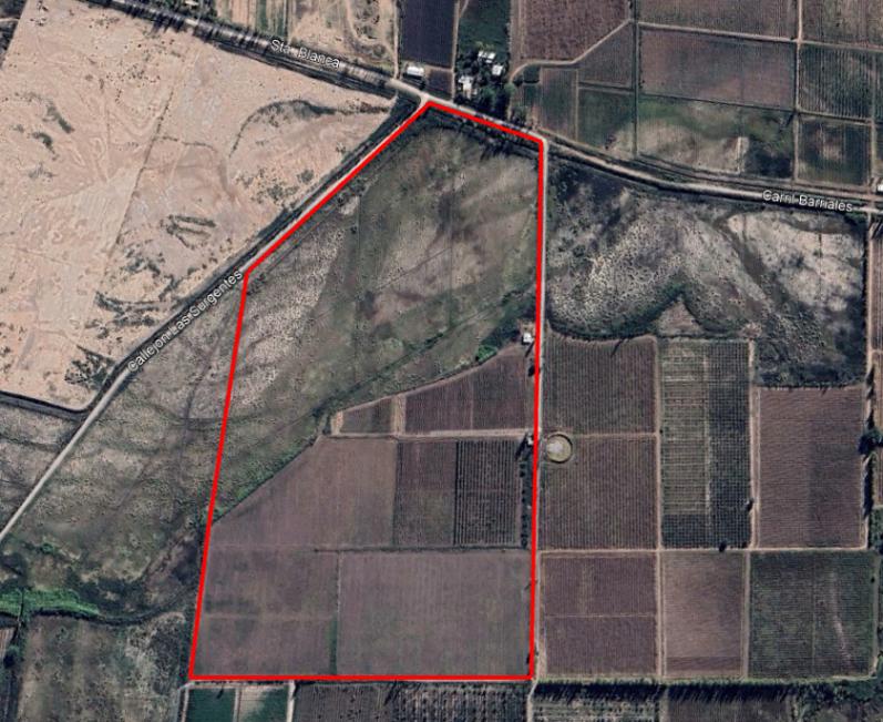 Foto de VENDE FINCA 21.5 HAS - POZO - MAIPÚ, imagen 3