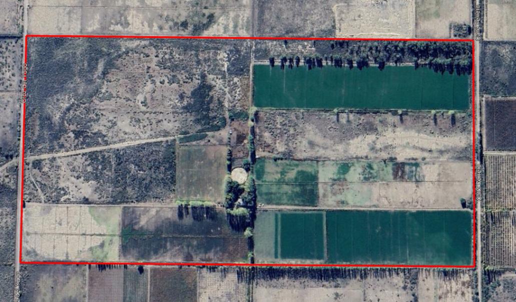 Foto de VENDE FINCA DE 48 HA - TANQUE AUSTRALIANO, D° A RIEGO, POZO -SANTA ROSA, imagen 2
