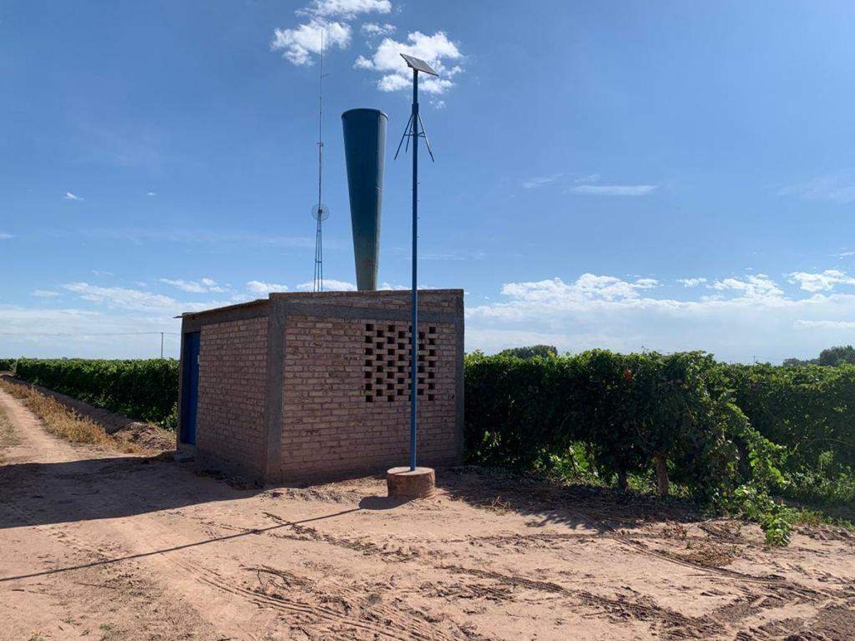 Foto de VENDE FINCA PRODUCTIVA 25HA CON POZO 10" - COLONIA LOS ÁLAMOS, MAIPÚ., imagen 5