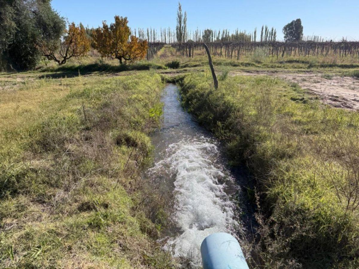 Foto de VENDE FINCA PRODUCTIVA DE 18 HA– CHAPANAY, SAN MARTÍN, imagen 4