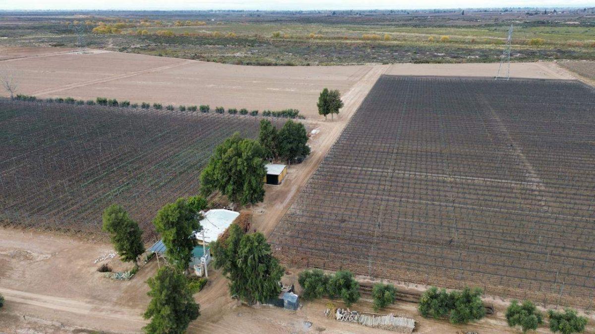 Foto de EN VENTA EXCLUSIVA FINCA DE 29 HA – POZO Y REPRESA - MAIPÚ., imagen 5