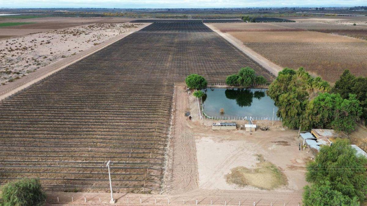Foto de EN VENTA EXCLUSIVA FINCA DE 29 HA – POZO Y REPRESA - MAIPÚ., imagen 1