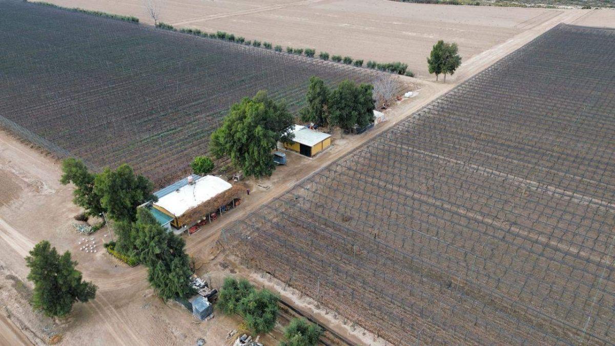 Foto de EN VENTA EXCLUSIVA FINCA DE 29 HA – POZO Y REPRESA - MAIPÚ., imagen 2