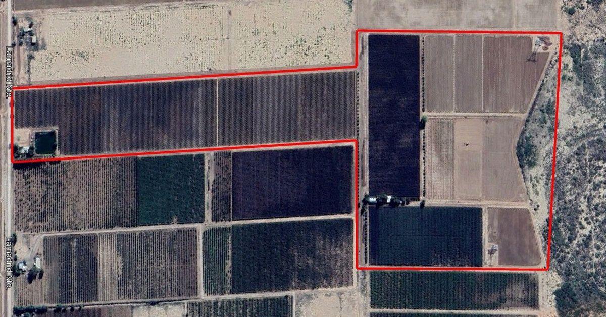 Foto de EN VENTA EXCLUSIVA FINCA DE 29 HA – POZO Y REPRESA - MAIPÚ., imagen 3