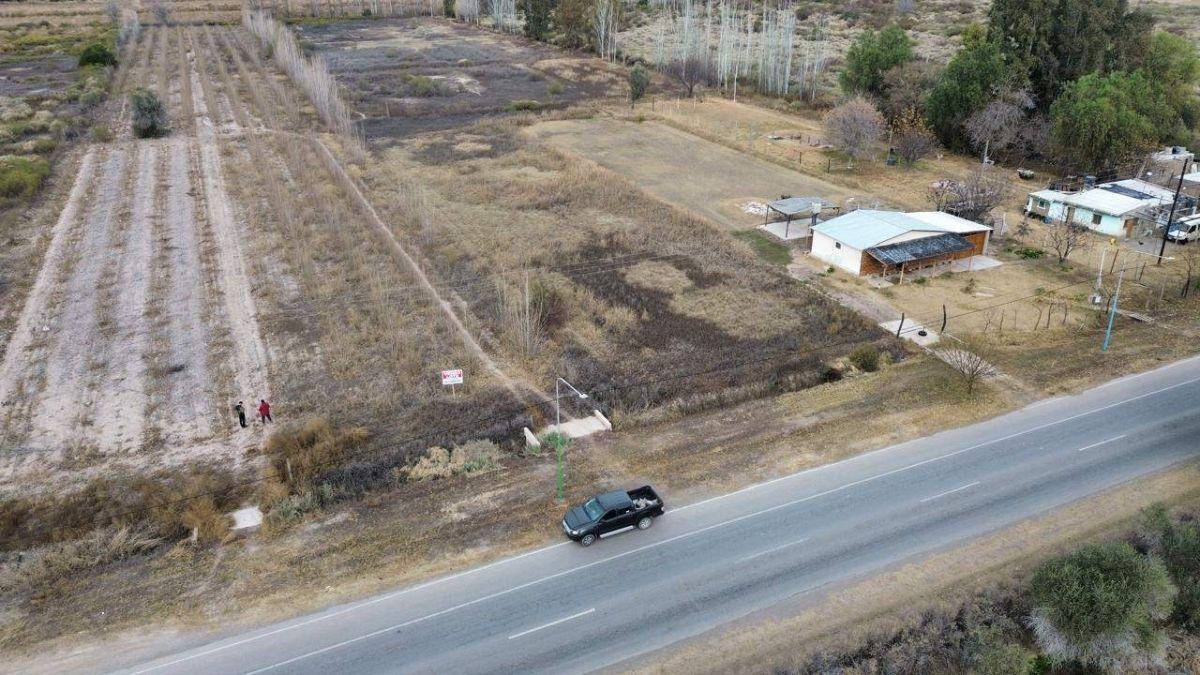 Foto de EXCELENTE OPORTUNIDAD DE INVERSIÓN 10190m2 - CON DCHO. A RIEGO EN, imagen 3