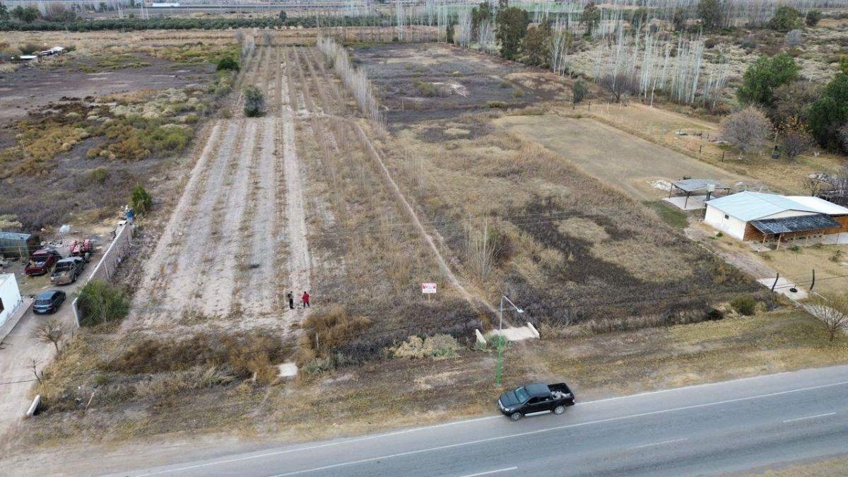 Foto de EXCELENTE OPORTUNIDAD DE INVERSIÓN 10190m2 - CON DCHO. A RIEGO EN, imagen 2