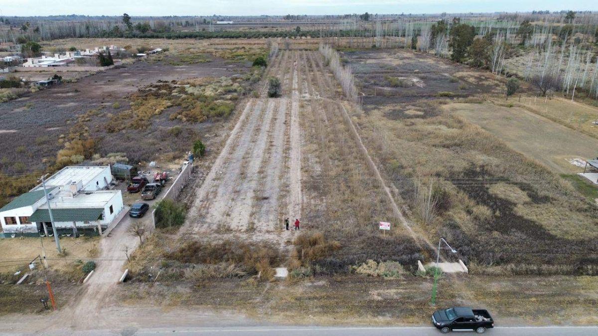 Foto de EXCELENTE OPORTUNIDAD DE INVERSIÓN 10190m2 - CON DCHO. A RIEGO EN, imagen 1
