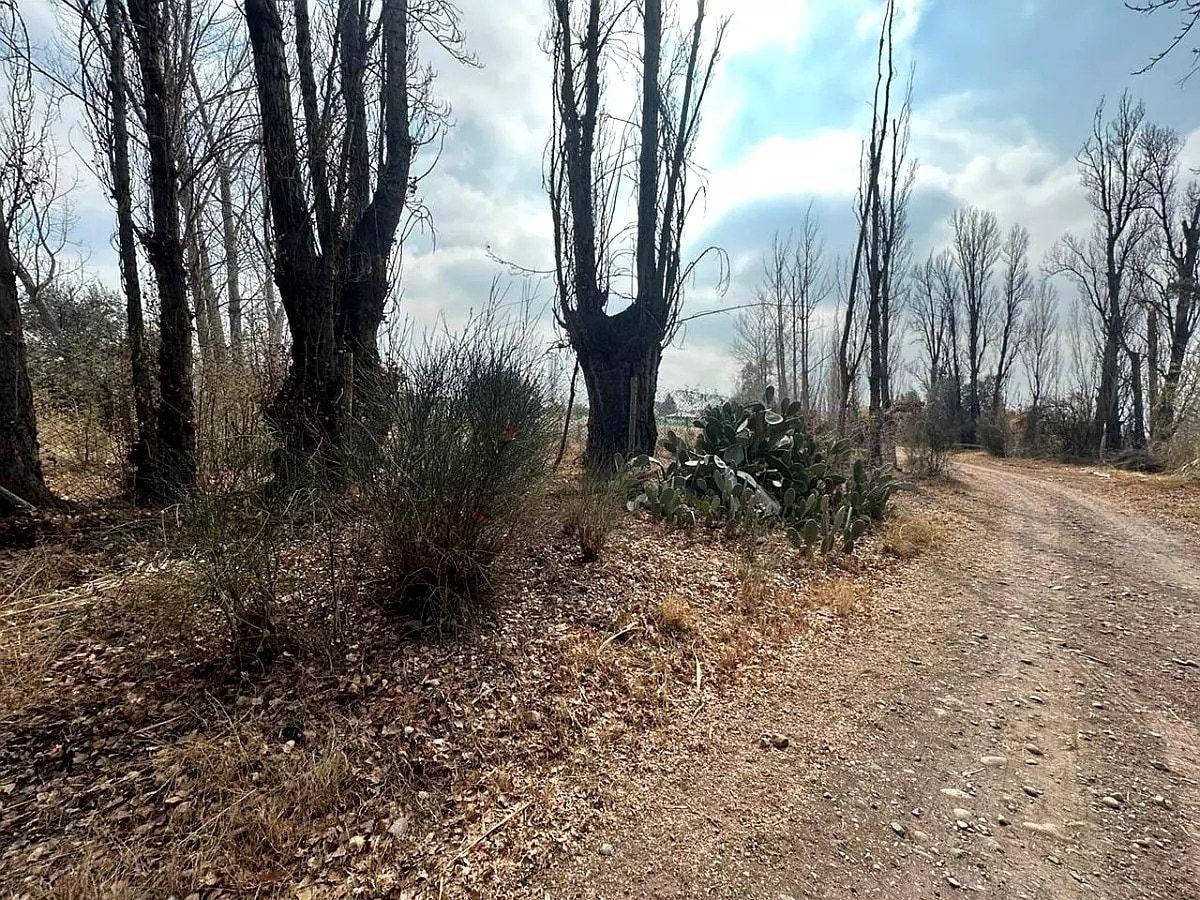 Foto de TERRENO EN LUNLUNTA 4.000 M2, imagen 5