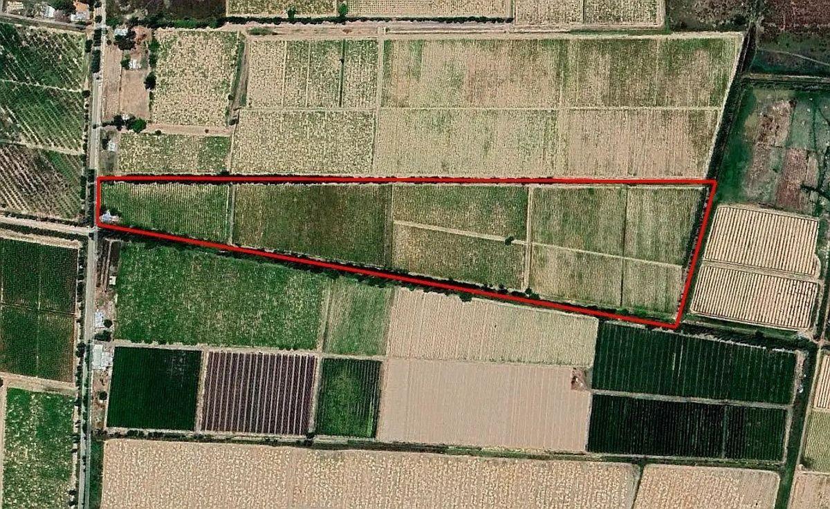 Foto de FINCA DE 13 HECTÁREAS EN VENTA - D° DE RIEGO -LAVALLE, imagen 2
