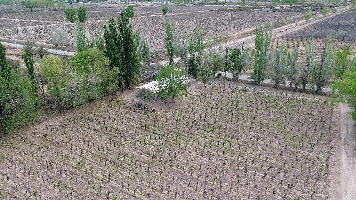 FINCA DE 13 HECTÁREAS EN VENTA - D° DE RIEGO -LAVALLE