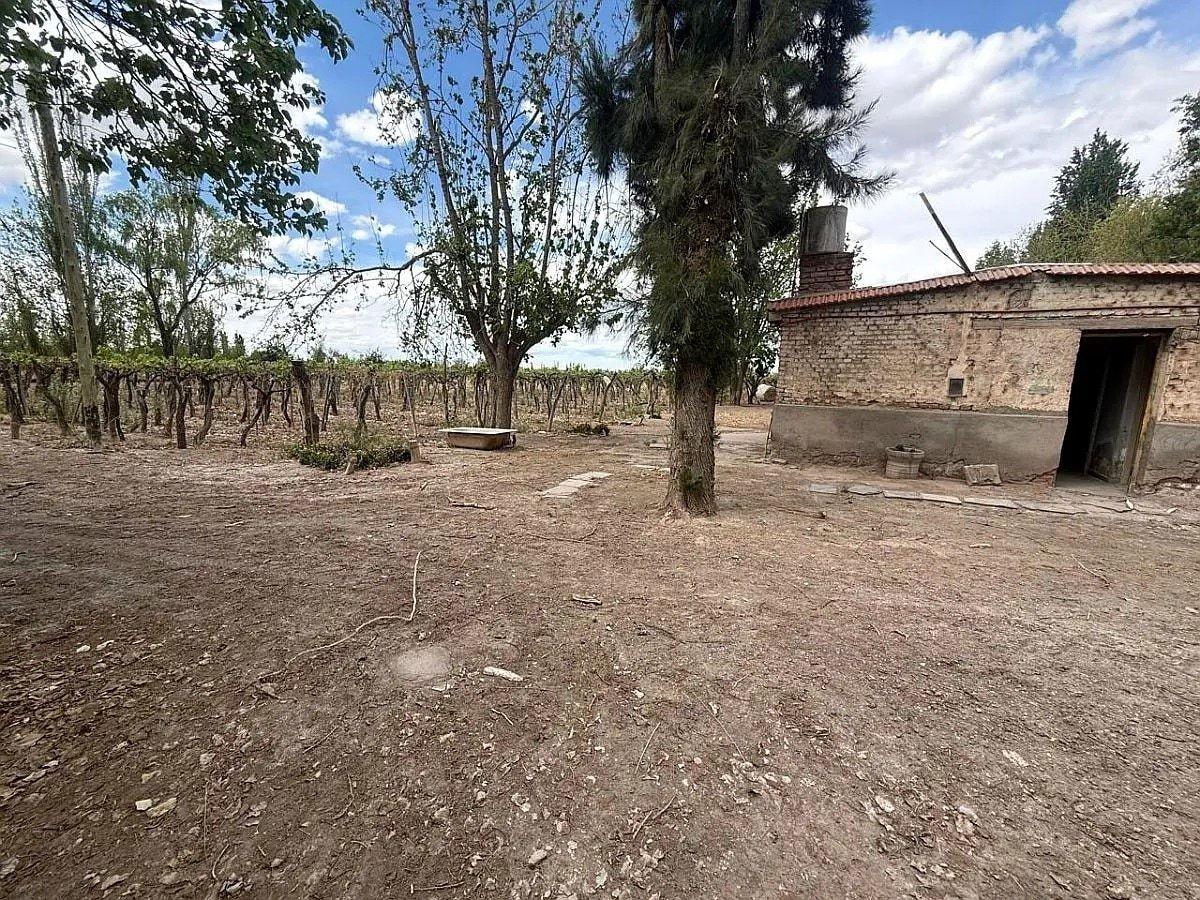 Foto de FINCA DE 13 HECTÁREAS EN VENTA - D° DE RIEGO -LAVALLE, imagen 4