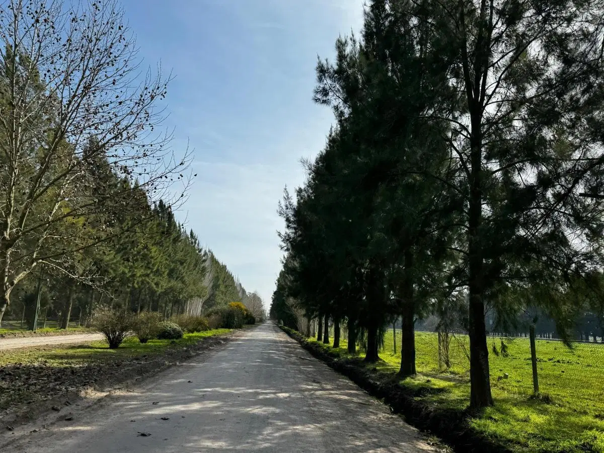 lote en venta en campos de roca 2 1
