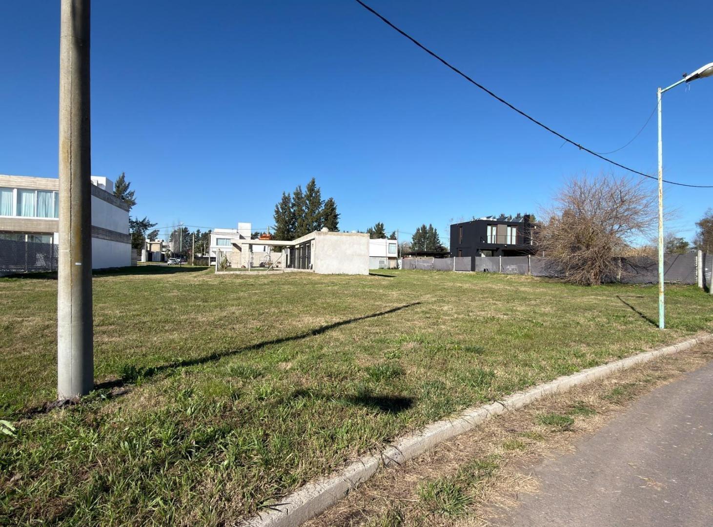 Foto de Terreno en Venta Joaquin Gorina, imagen 5