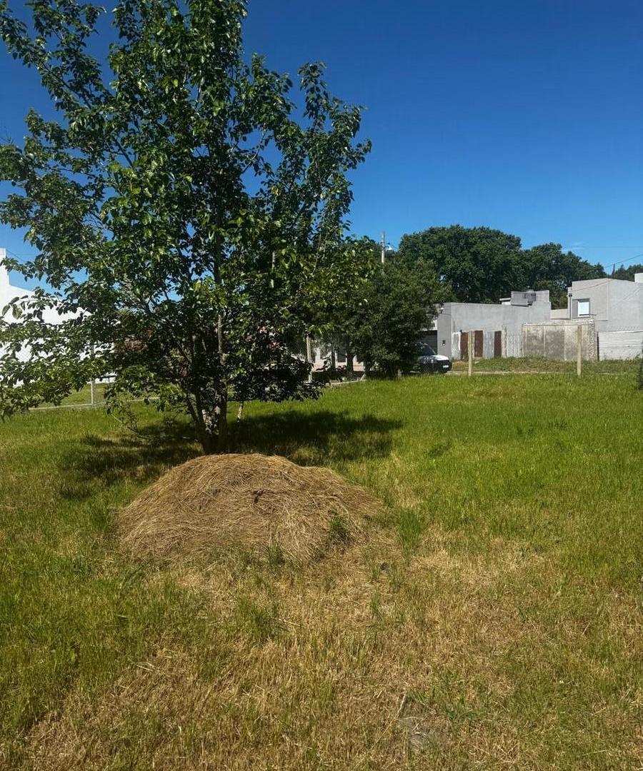 Foto de Lotes en venta ubicados en 36 e/ 161 y 162., imagen 4