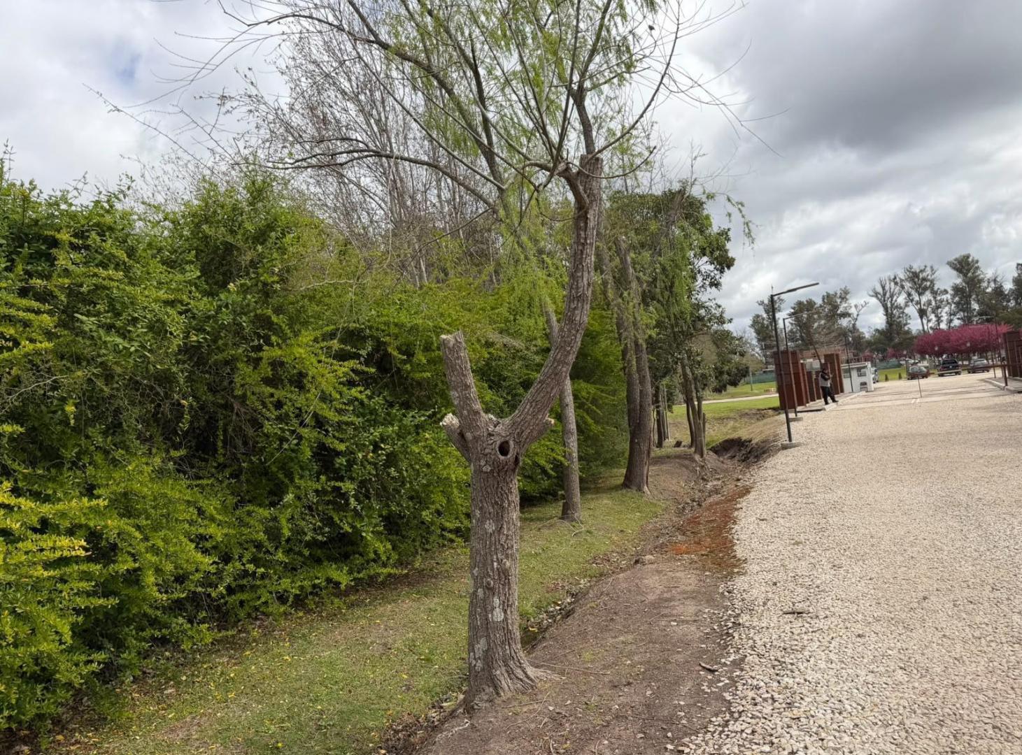 Foto de Terreno en Venta. aldea san efren., imagen 2