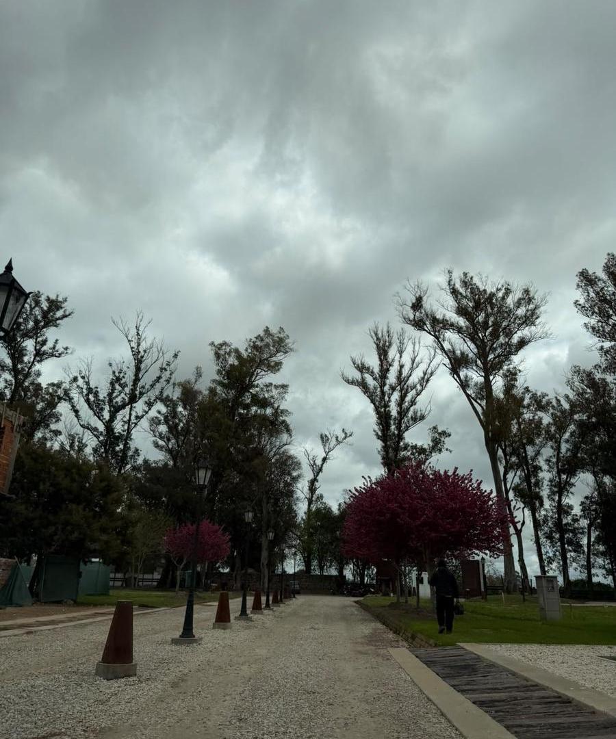 Foto de Terreno en Venta. aldea san efren., imagen 3