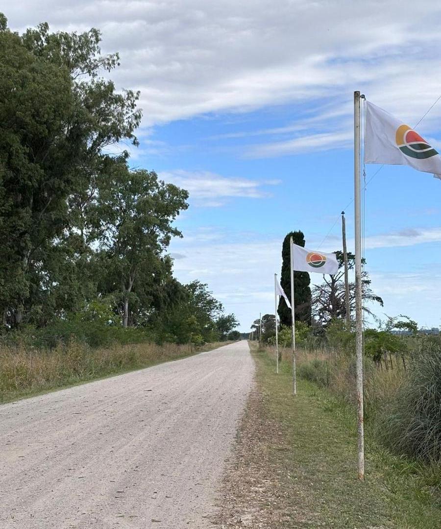 Foto de Terreno en Coronel Brandsen, imagen 5