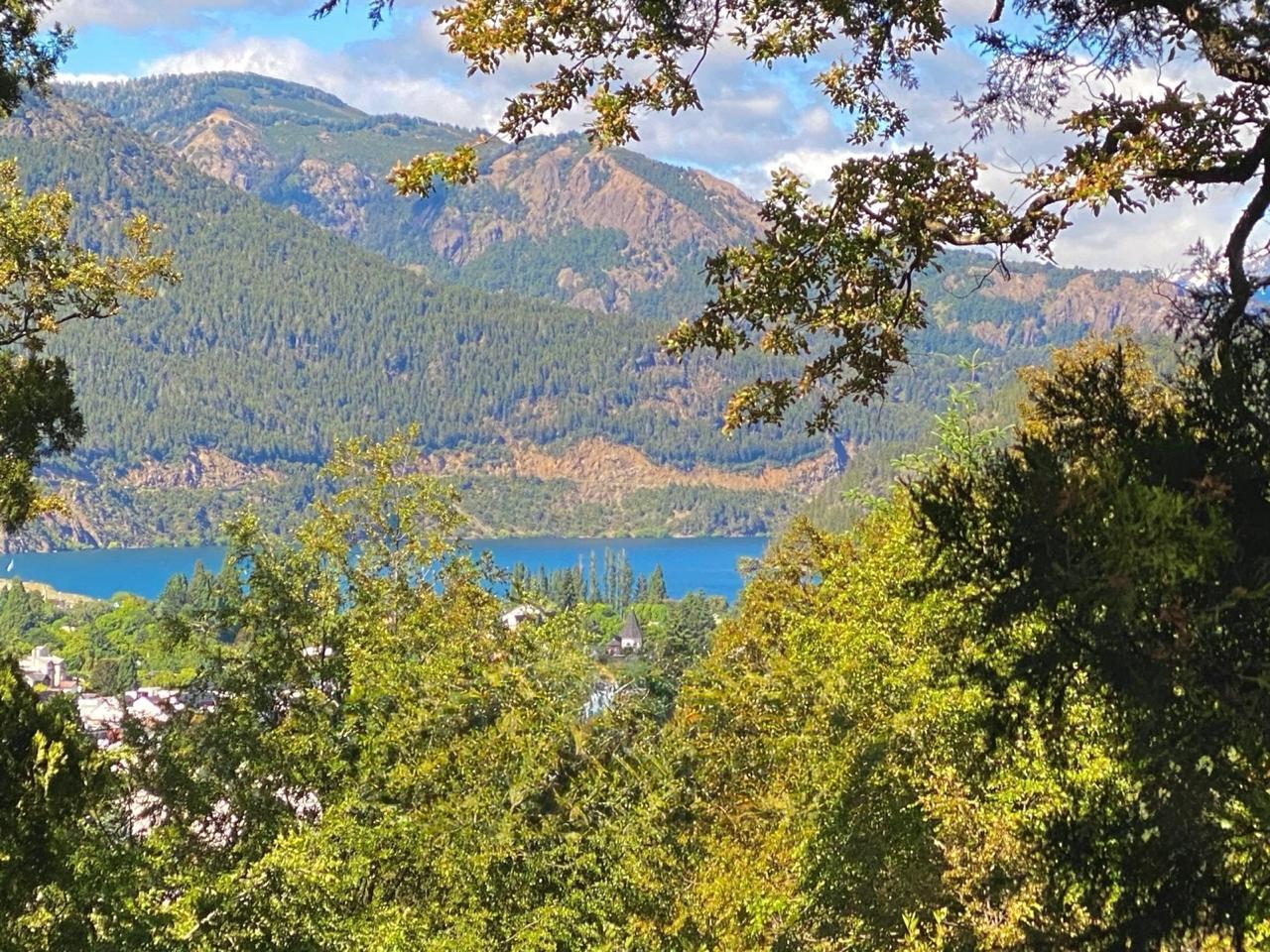 Foto de Terreno en San Martin De Los Andes con vista al lago, imagen 2