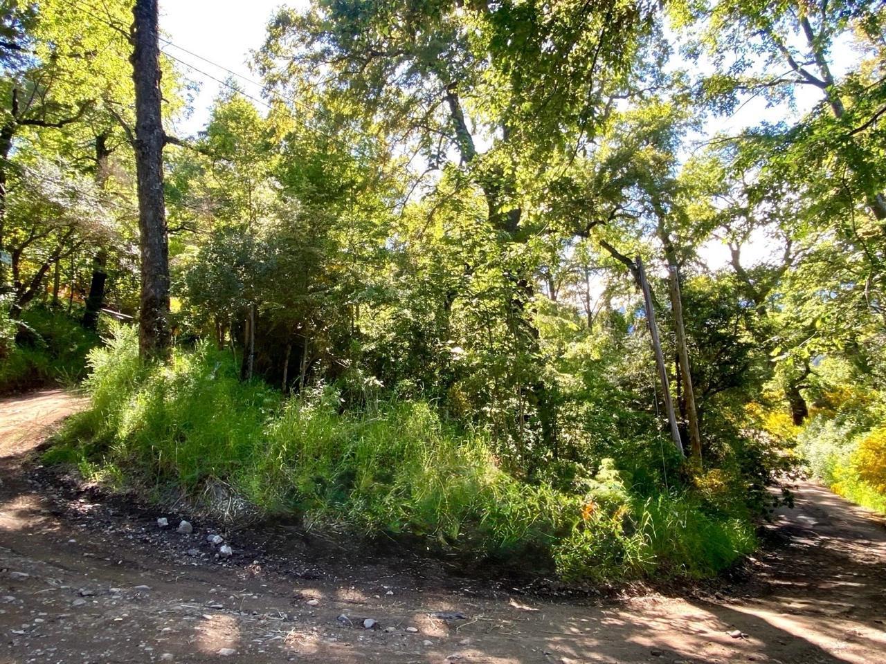 Foto de Terreno en San Martin De Los Andes con vista al lago, imagen 3