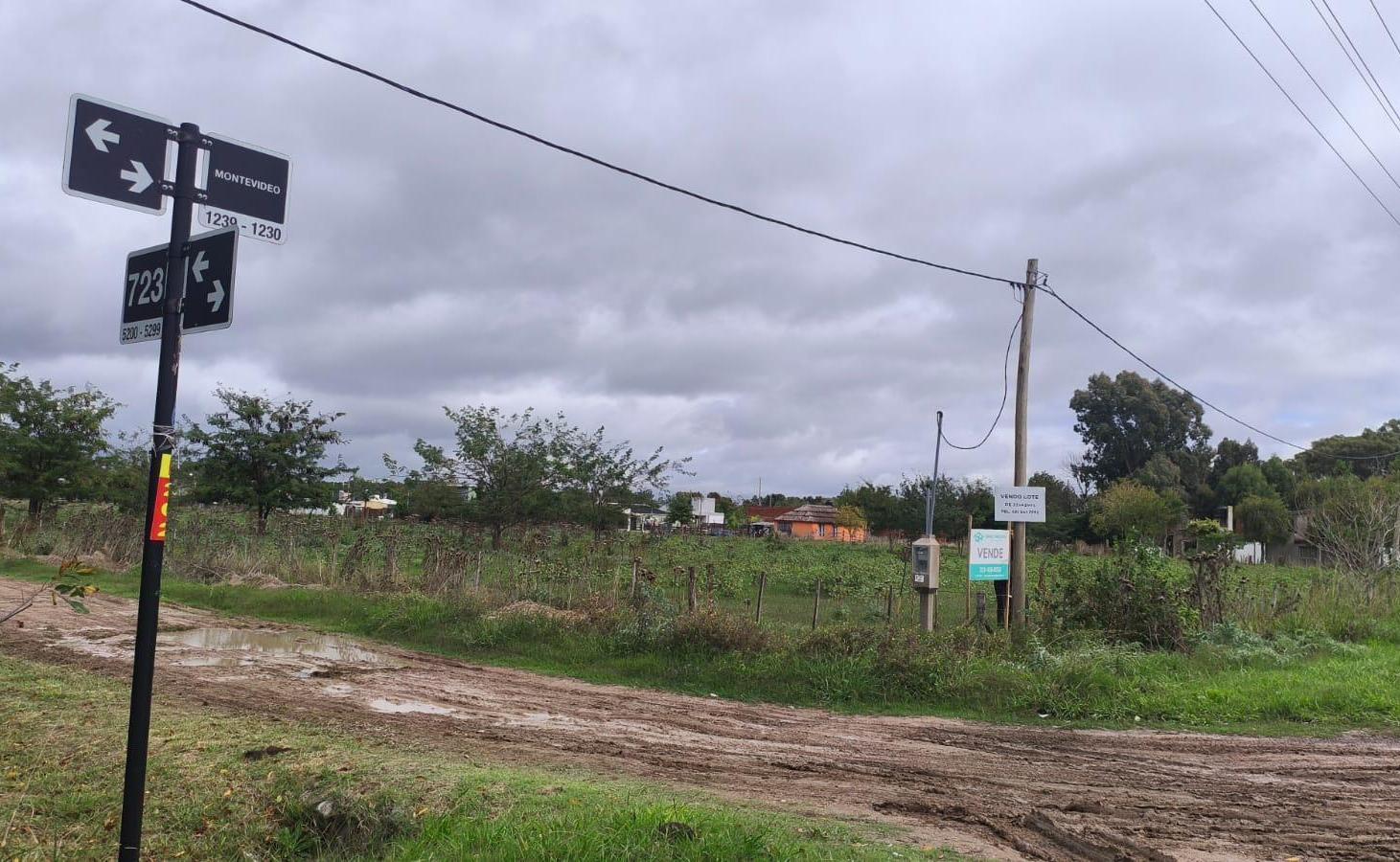 Foto de Terreno en Los Talas Financiado, imagen 3