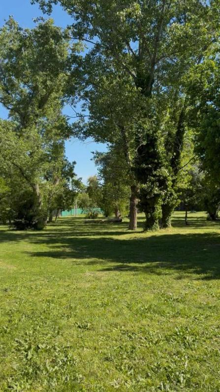 Foto de Lote en venta en Barrio Las Alondras 407 e/ 19 y 20, imagen 4