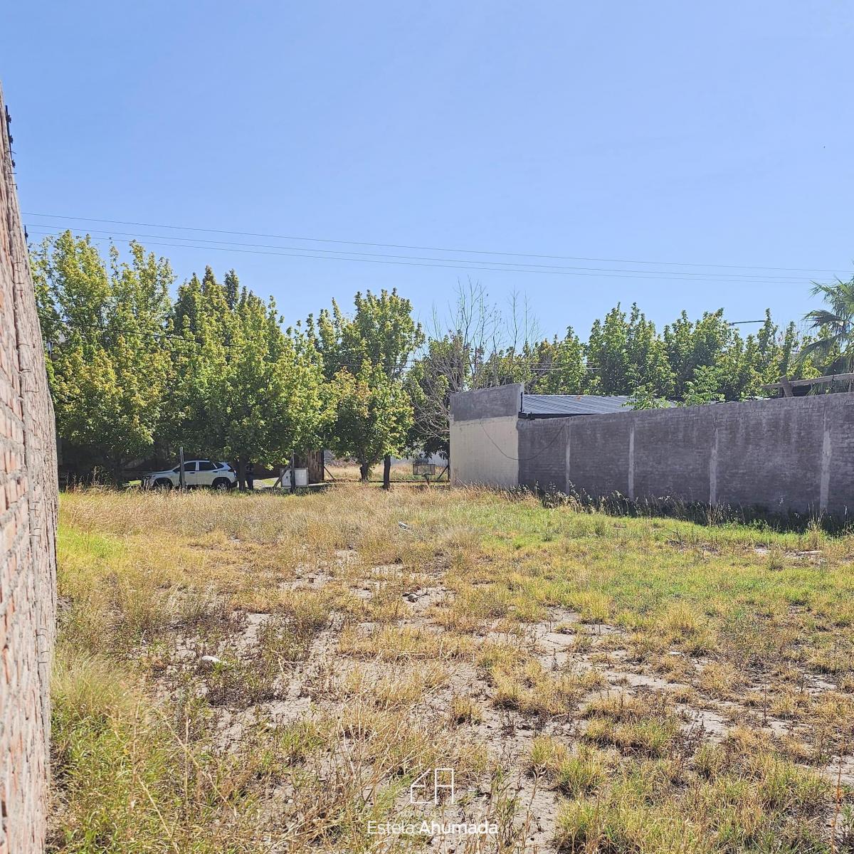 Vendo Terreno en Barrio "Olivos del Fundador", San Rafael, Mendoza. 4