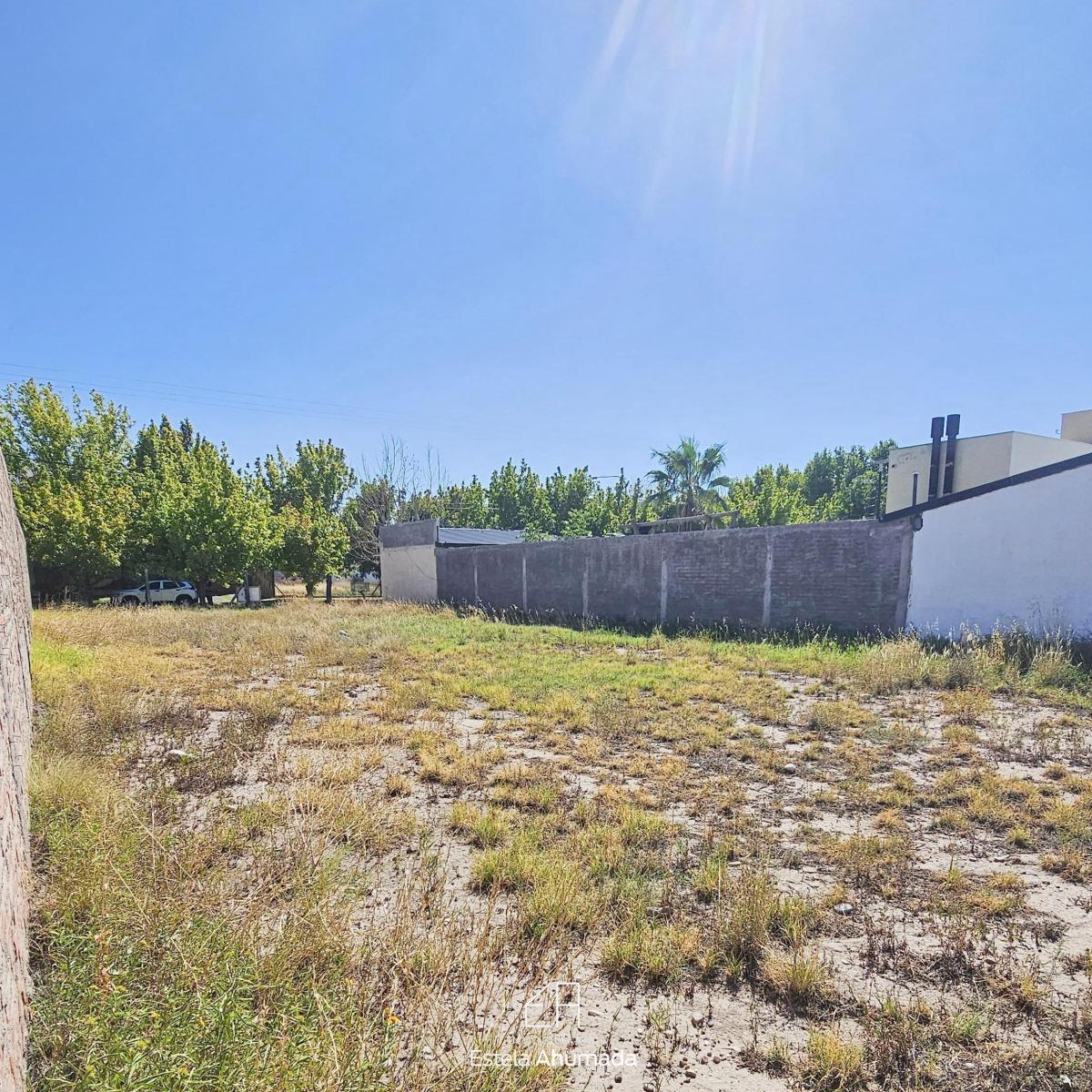 Vendo Terreno en Barrio "Olivos del Fundador", San Rafael, Mendoza. 3