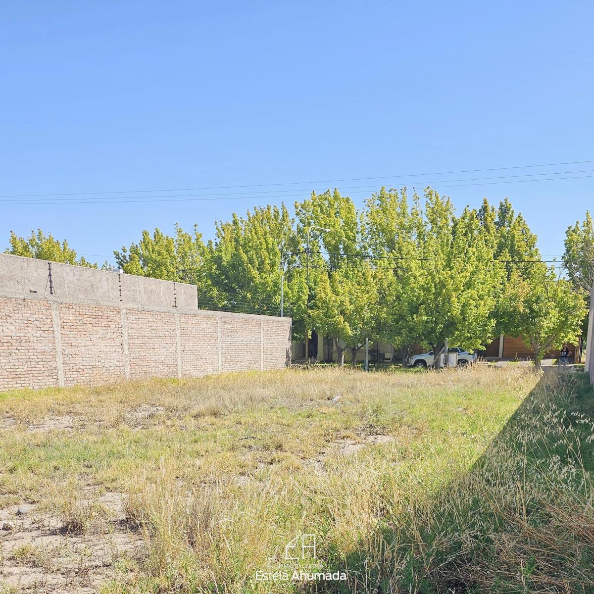 Vendo Terreno en Barrio "Olivos del Fundador", San Rafael, Mendoza. 1