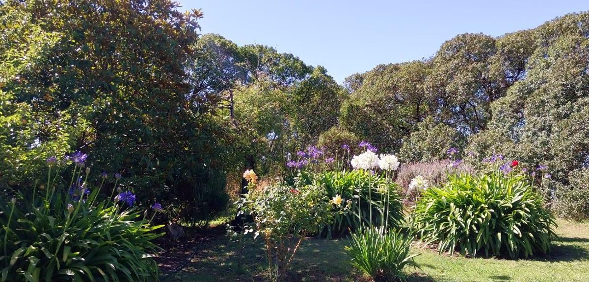 Venta Lote Hectarea Necochea 4