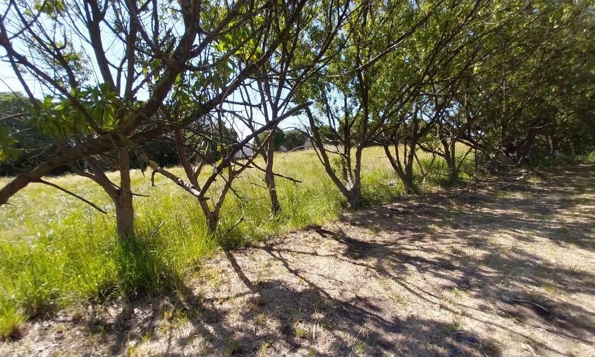 Venta Lote Hectarea Necochea 2
