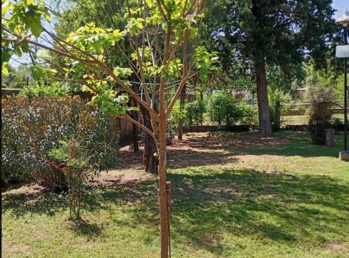 Foto de Casa Quinta 4 mas Depto 2 ambientes - En Villa Mercedes - Provincia de, imagen 5