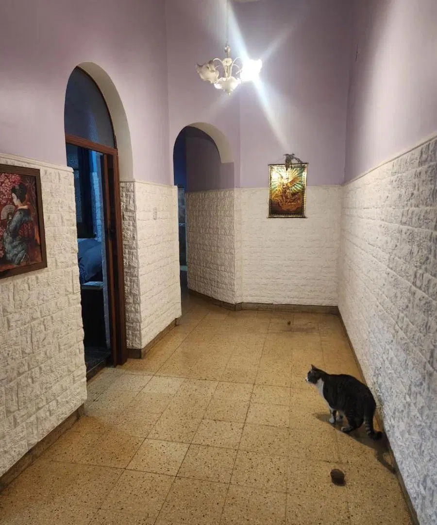 VENTA BALVANERA PH 5 AMBIENTES 4