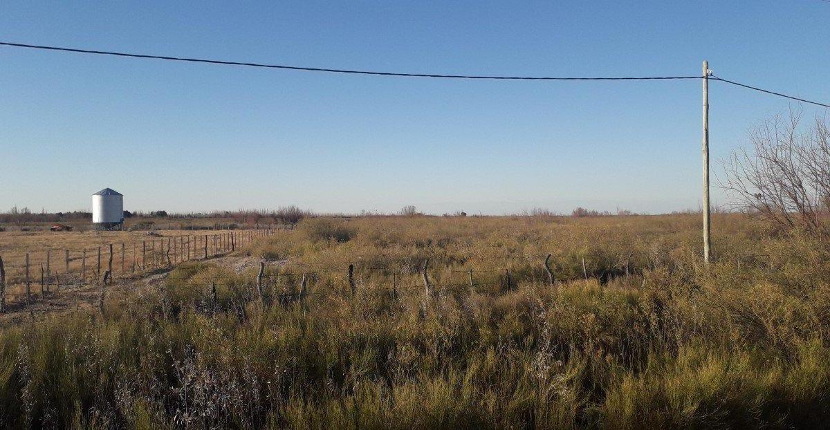 Vendo 7 Ha en San Rafael Mendoza 1