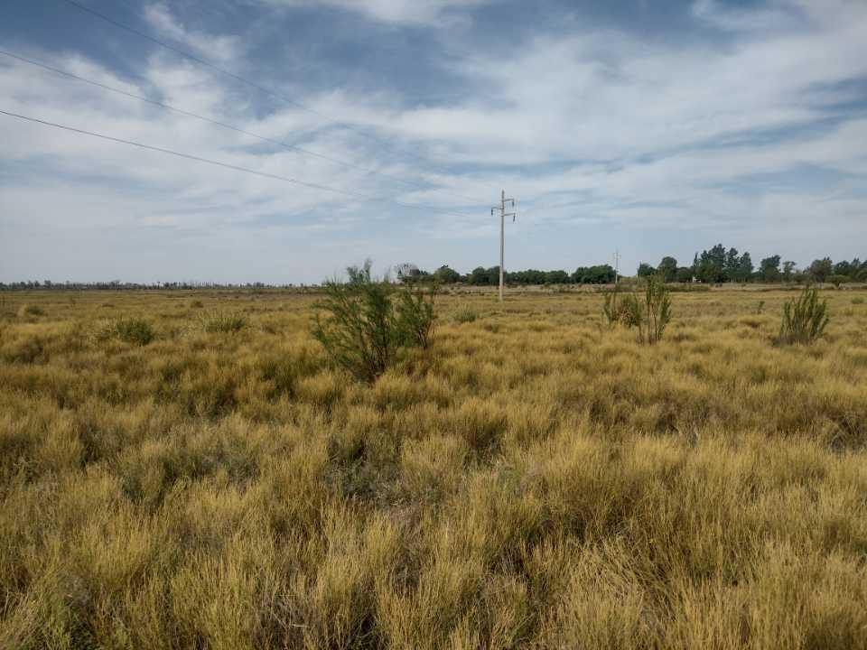 Vendo 12 Ha San Rafael Mendoza 4