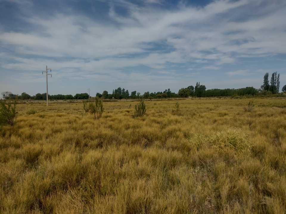 Vendo 12 Ha San Rafael Mendoza 2