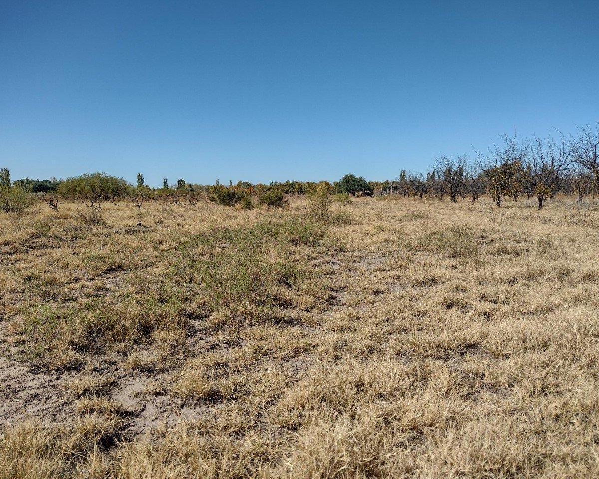 Vendo 5 Ha Sobre Ruta Provincial N° 160 4