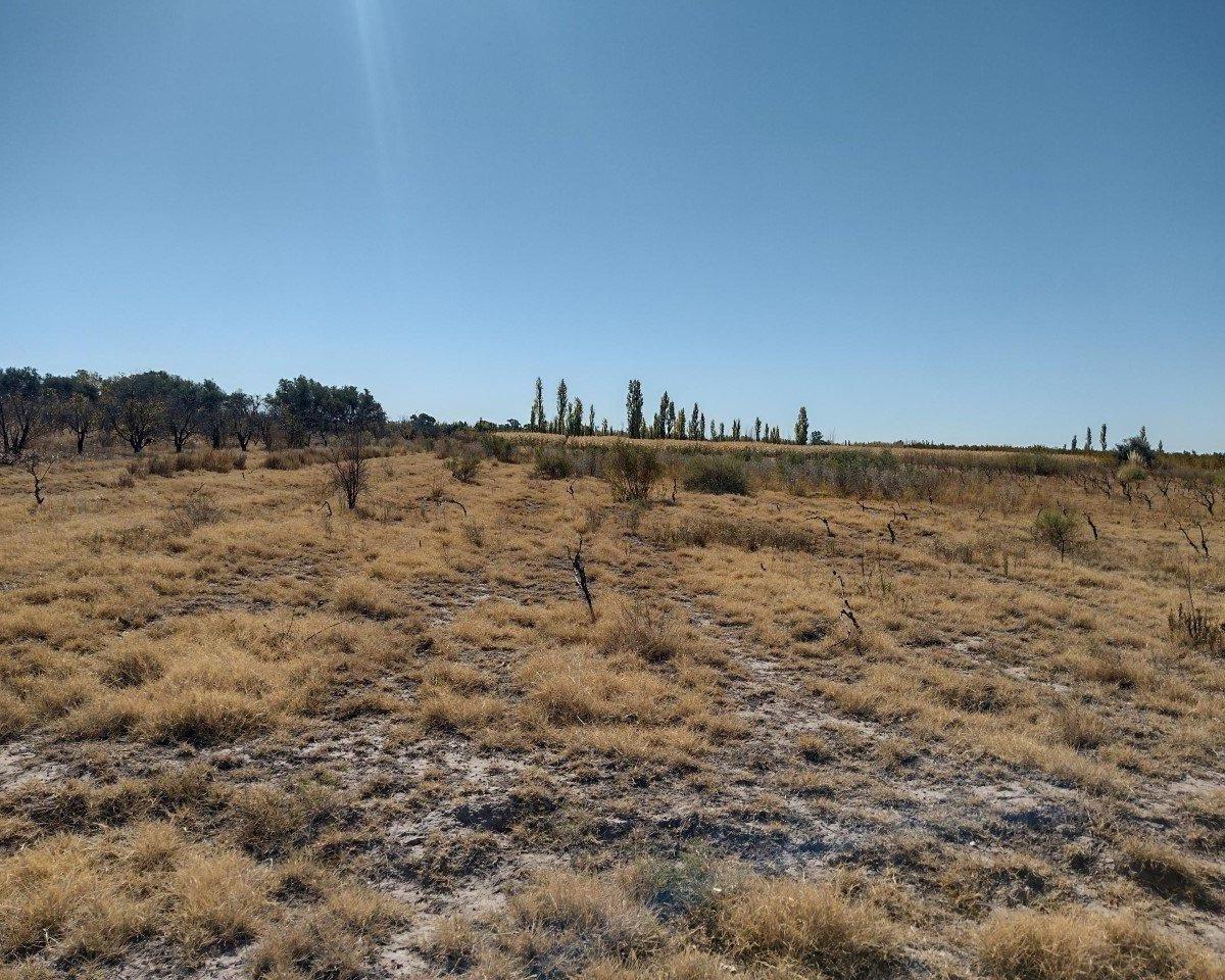 Vendo 5 Ha Sobre Ruta Provincial N° 160 5