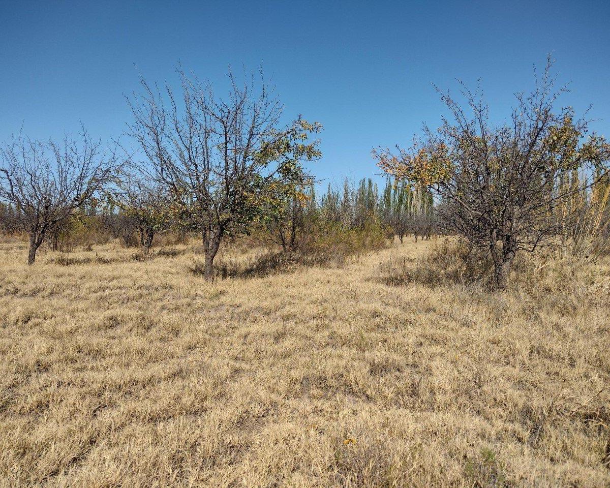 Vendo 5 Ha Sobre Ruta Provincial N° 160 2