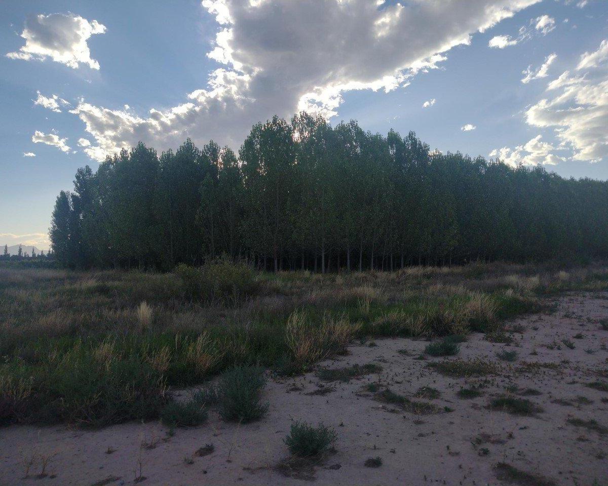 Propiedad en Argentina