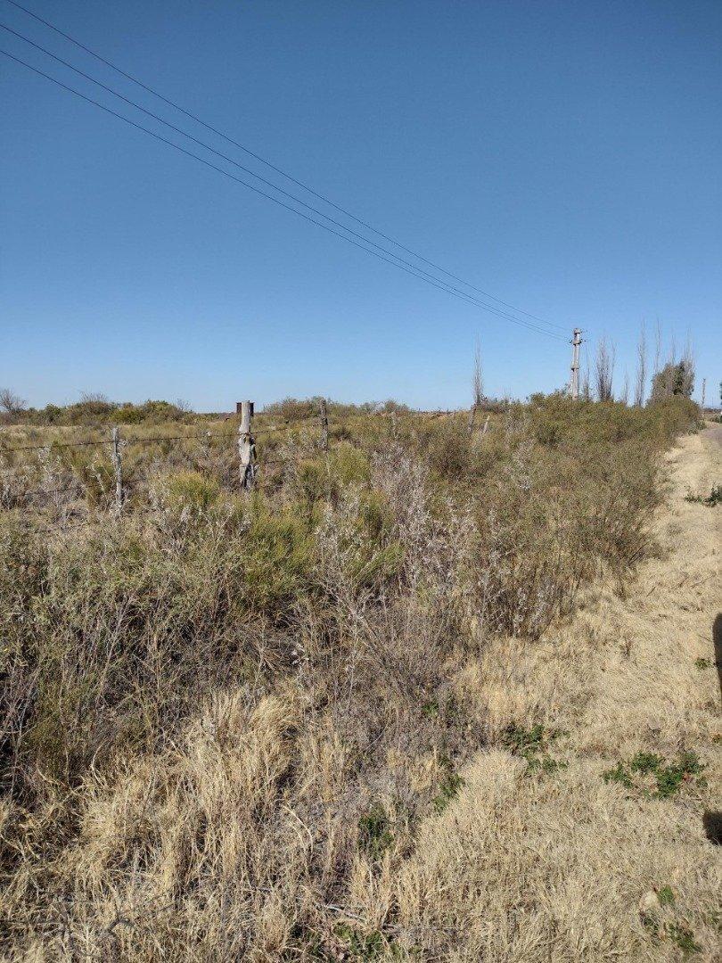 Vendo Finca en Blanco de 64 Ha en San Rafael Mendoza 2