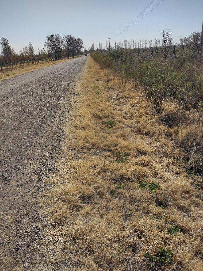 Vendo Finca en Blanco de 64 Ha en San Rafael Mendoza 3