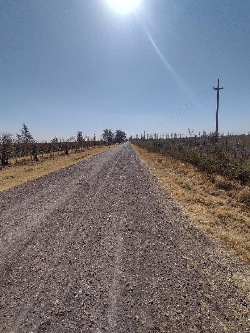 Vendo Finca en Blanco de 64 Ha en San Rafael Mendoza 1
