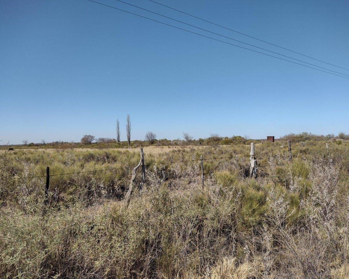 Vendo Finca en Blanco de 64 Ha en San Rafael Mendoza 5