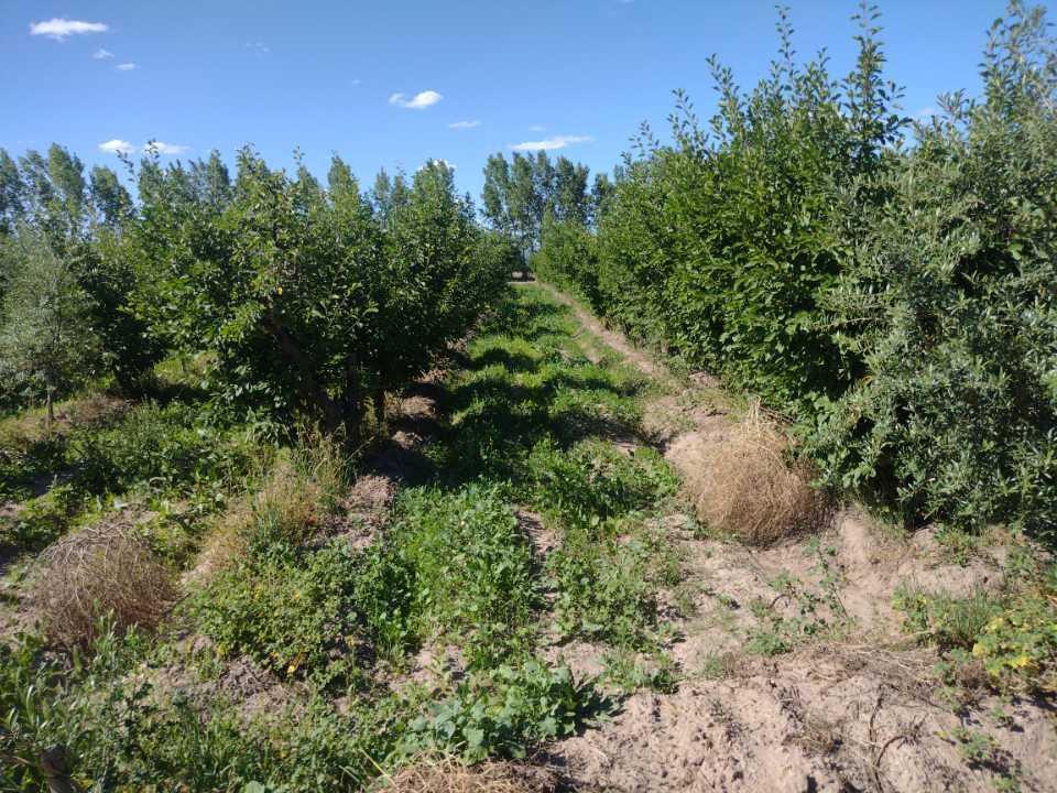 Hermosas Finca Pequeña San Rafael 3