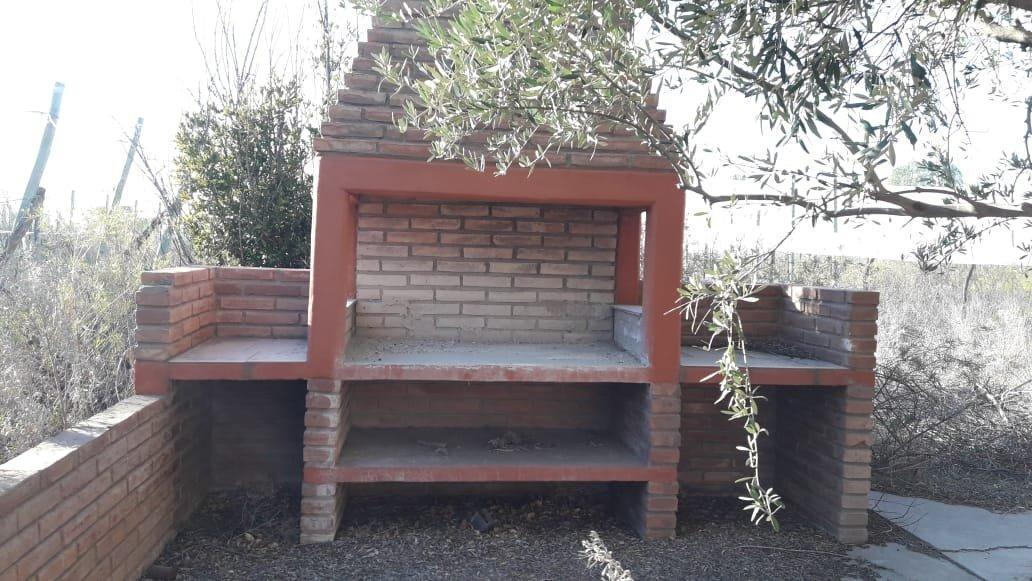 Vendo 10 Ha San Rafael Mendoza 3