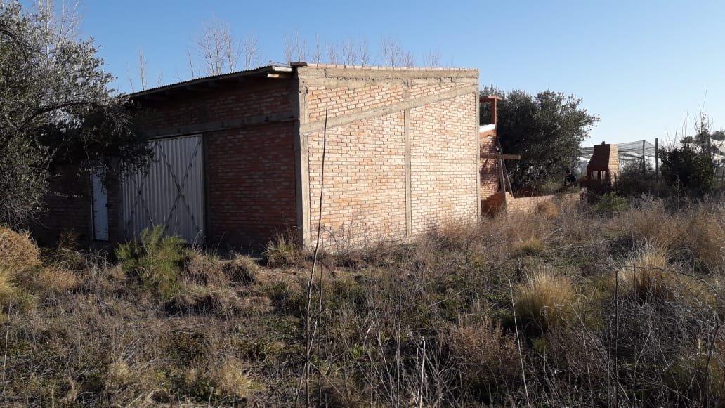 Vendo 10 Ha San Rafael Mendoza 2