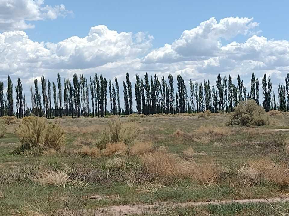 Finca con Casa y Galpon Oportunidad San Rafael 5