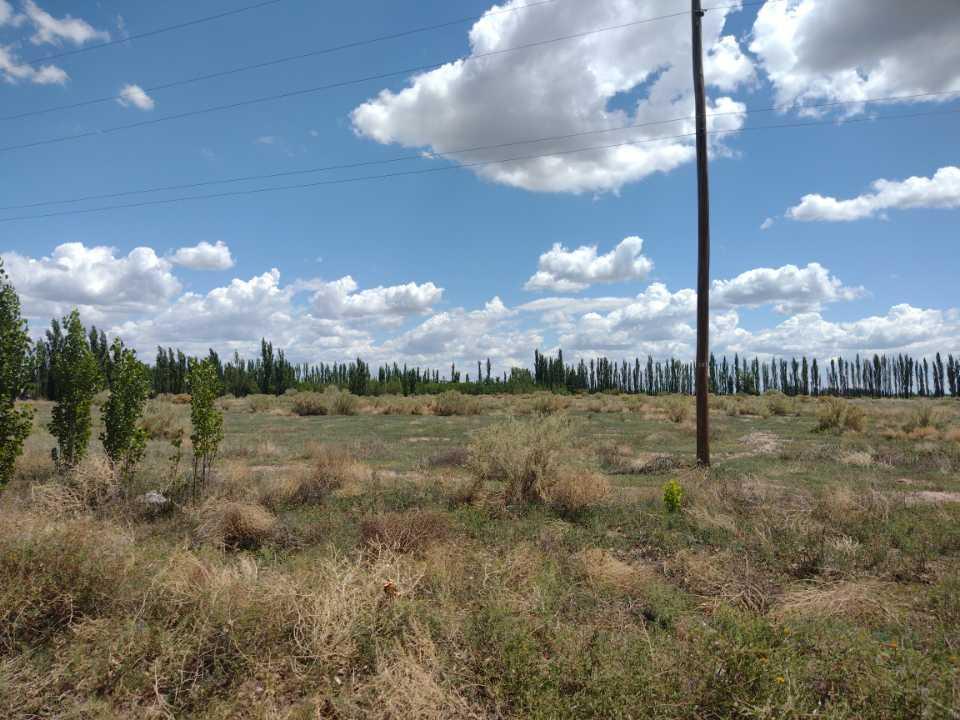 Finca con Casa y Galpon Oportunidad San Rafael 3
